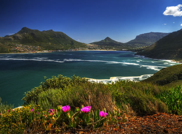 Full Day Cape Point Tour